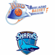 Match ANTIBES - ROANNE