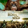 Born To Be Wild - N&eacute;s pour &ecirc;tre Libres