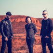 DAGOBA + WARATTAH + CHECKMATE