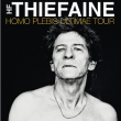 Concert HUBERT FELIX THIEFAINE