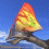 Pt�rodactyles 3D