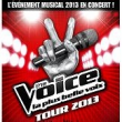The voice tour 2013 concert