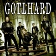 Concert GOTTHARD