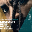 Soir�e Gonjasufi + Vive La Fete et Scratch Massive DJ Set