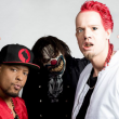 Concert Dope D.O.D