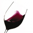 Salon M. Class : Verticale "R" de Ruinart