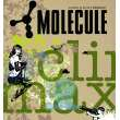 Concert MOLECULE
