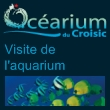 visite d'aquarium 2010 @ Oc&eacute;arium du Croisic, Le Croisic - Du 07 F&eacute;vrier 2010 au 03 Janvier 2011