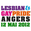 La folle nuit lesbienne, gay, bi, trans concert