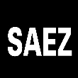 Concert SAEZ