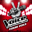 The voice tour 2013 concert