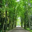 DOMAINE NATIONAL DE SAINT-CLOUD : programmation et billetterie