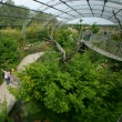 PARC DES OISEAUX, Villars-les-Dombes : programmation, billet, place, infos